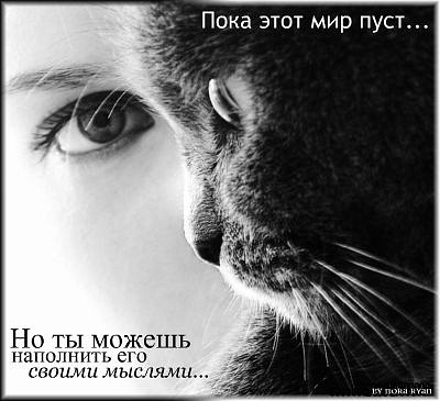 http://cs9972.vkontakte.ru/u32611448/121717953/x_ec95fc6a.jpg